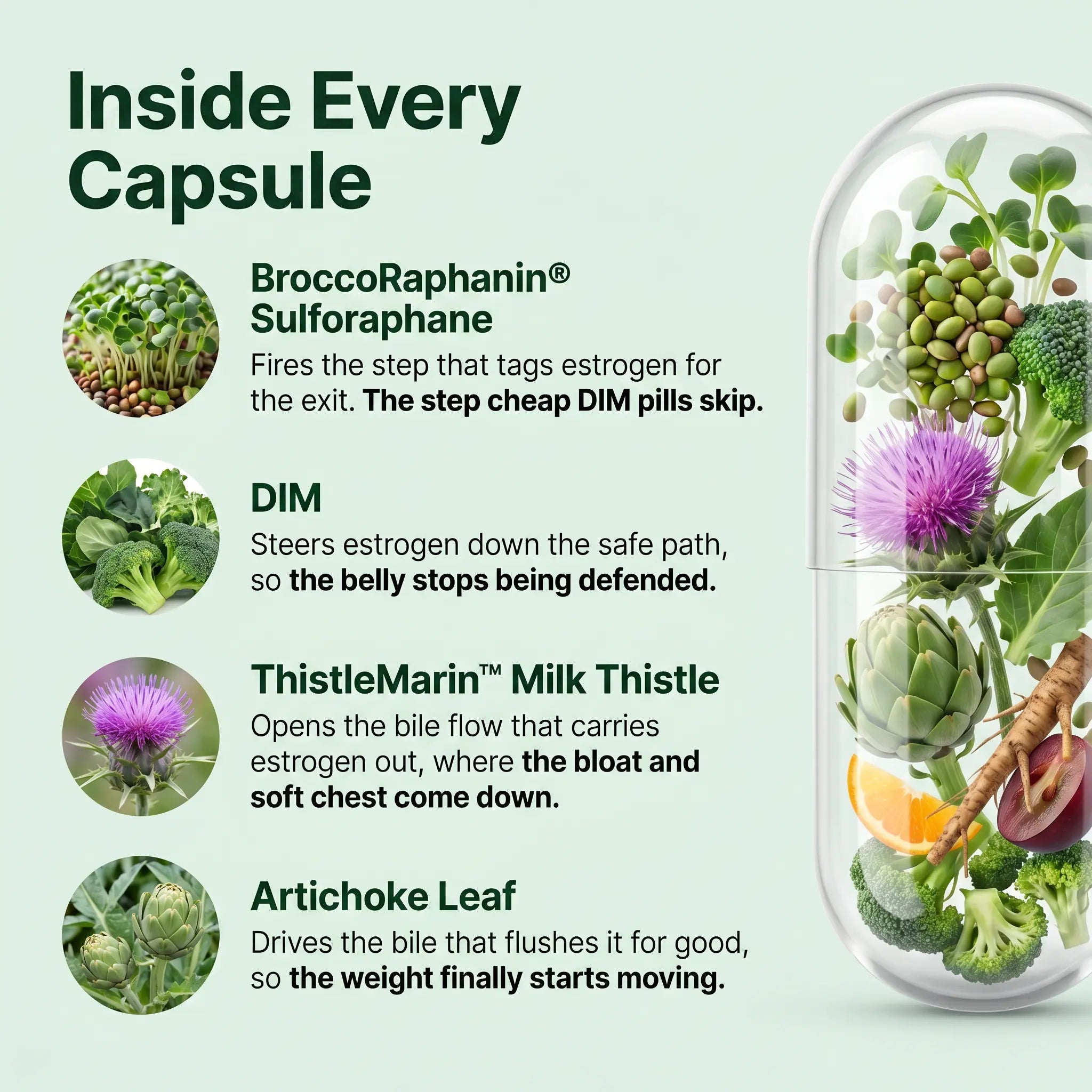 EstroReset™ | Get Back The Lean, Wide-Awake Man You Were At 35